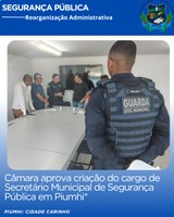 CÂMARA APROVA CRIAÇÃO DO CARGO DE SECRETÁRIO MUNICIPAL DE SEGURANÇA PÚBLICA EM PIUMHI