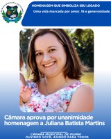 CÂMARA APROVA POR UNANIMIDADE HOMENAGEM A JULIANA BATISTA MARTINS