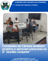 COMISSÕES DA CÂMARA ANALISAM PROJETOS E APROVAM PARECERES NA 2ª REUNIÃO CONJUNTA