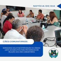 VEREADORES OUVEM VÍTIMAS DE ATAQUE DE CÃO EM VIA PÚBLICA